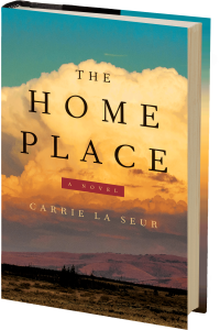 Home-Place 3D cover