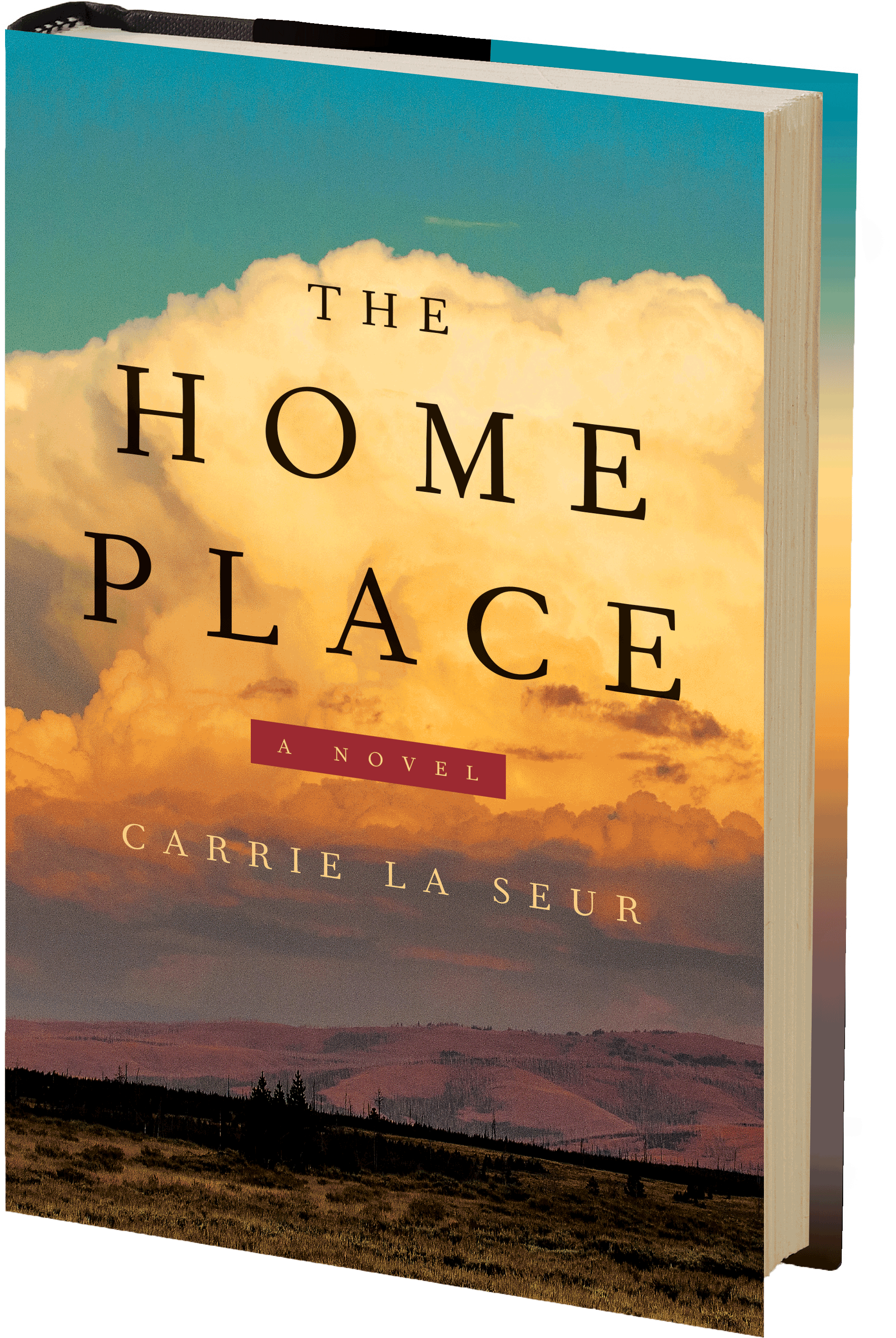 The Home Place Book